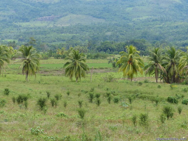 tarapoto 003